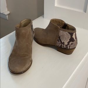 Steven Madden snakeskin ankle booties size 6